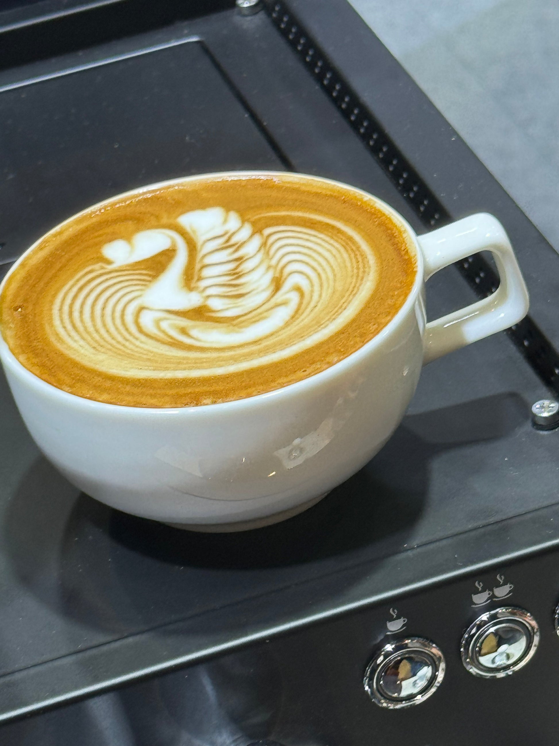 WPM 8oz Latte Art Cup - Homey Koffee